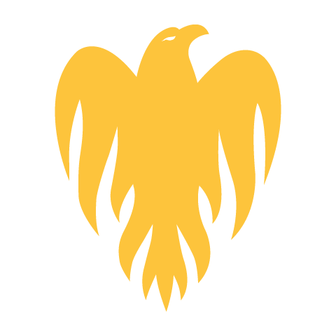 Wellington Firebirds