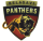 Belagavi Panthers